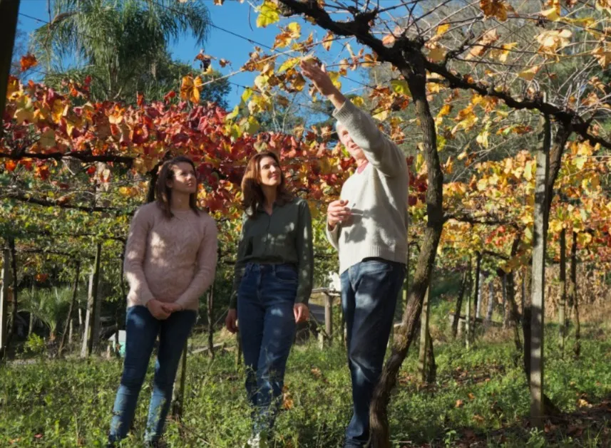 A condução dos episódios é feita por Rudialva Vigolo, colaboradora da Sicredi Serrana e Miss Italia Nel Mondo 1998 - Foto: Reprodução/Sicredi Serrana