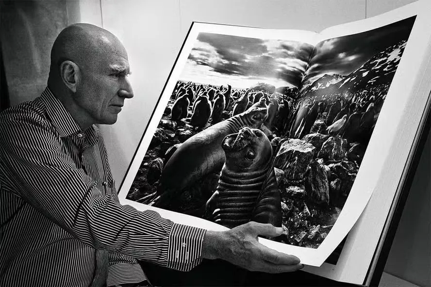 A obra Gênesis é considerado um dos ícones de Sebastião Salgado - Fotos: Reprodução/Especial
