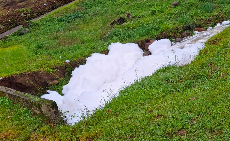 Moradores da região afirmam que situação está se tornando comum nos arroios - Fotos: Reprodução/Especial
