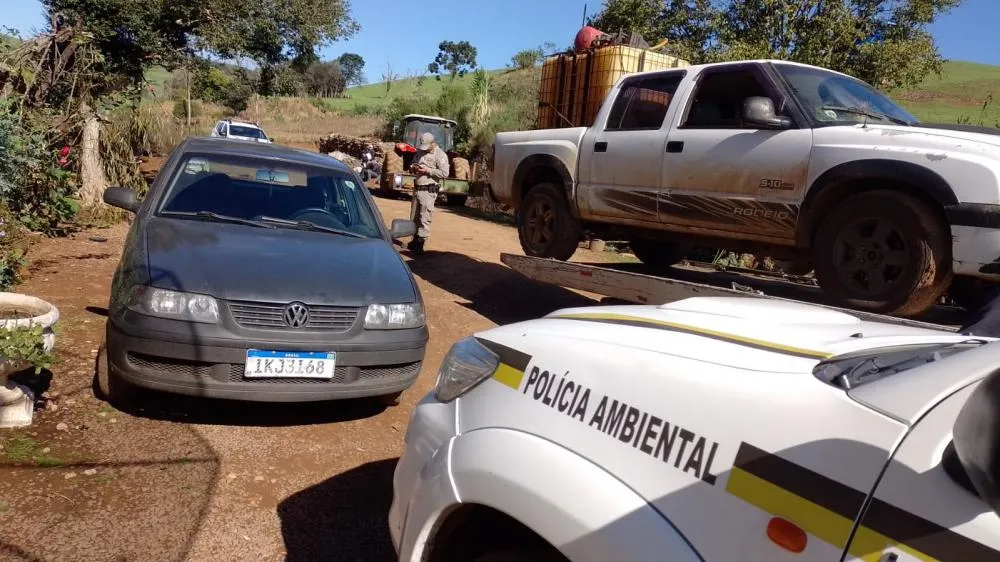 Homem é preso por desmatamento na Mata Atlântica