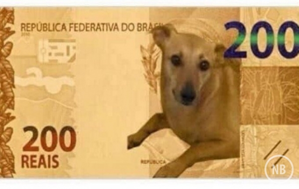 VIRA-LATA CARAMELO: Brasileiros querem cãozinho na nota de R$ 200