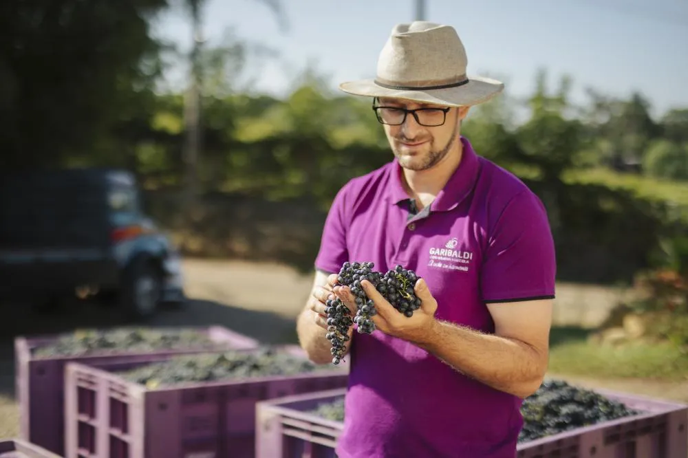 Matheus representa a quarta geração da família Marodin, que está há mais de 20 anos na cooperativa - Fotos: Cooperativa Garibaldi/Especial