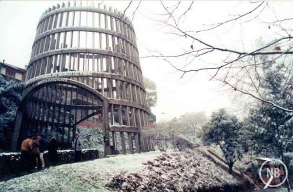 Memória BG/Divulgação