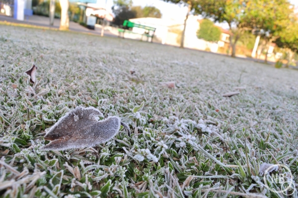 Jorge Bronzato Jr./Divulgação