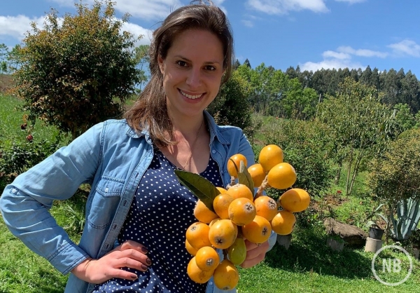 Ameixa Amarela ou nêspera: a fruta exótica que faz bem para a saúde