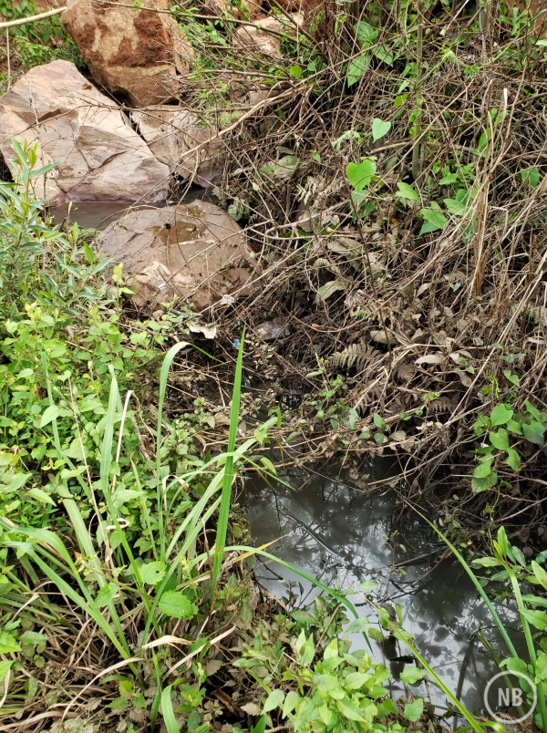 Reprodução/Facebook