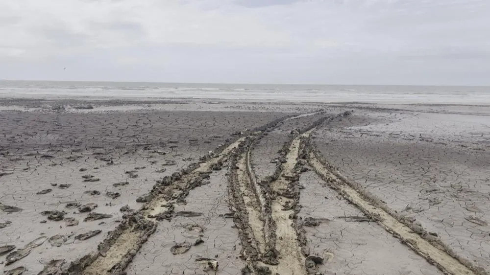 Reprodução/Especial