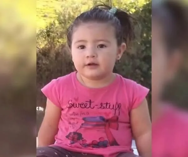 Menina Vitória tinha apenas 1 ano e nove meses de vida - Foto: Reprodução/Especial