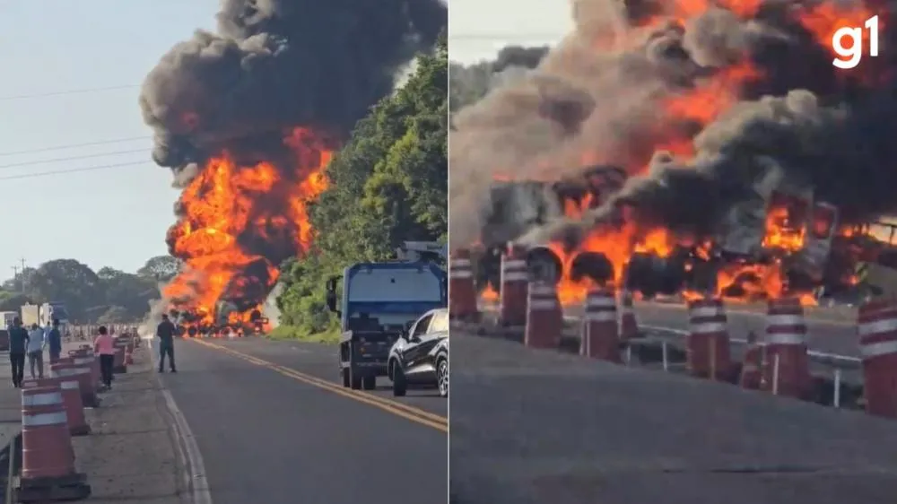 Reprodução/Especial