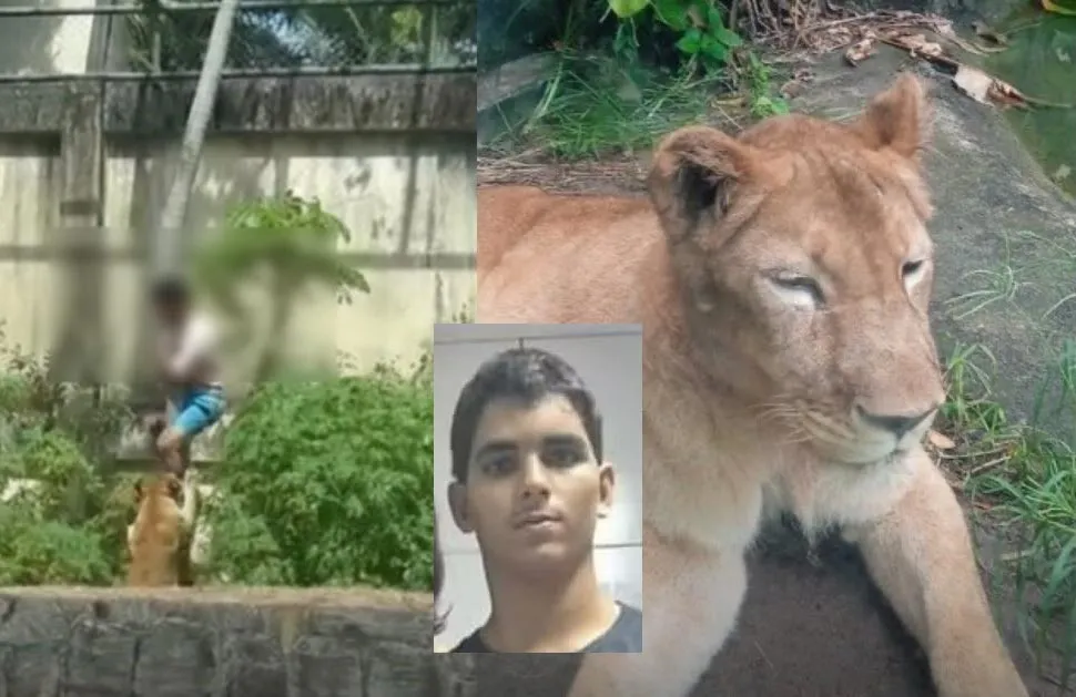 Polícia irá investigar o que levou o jovem Gerson a entrar no espaço da leoa - Fotos: Reprodução/Especial