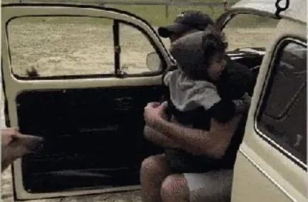 Reprodução/Especial