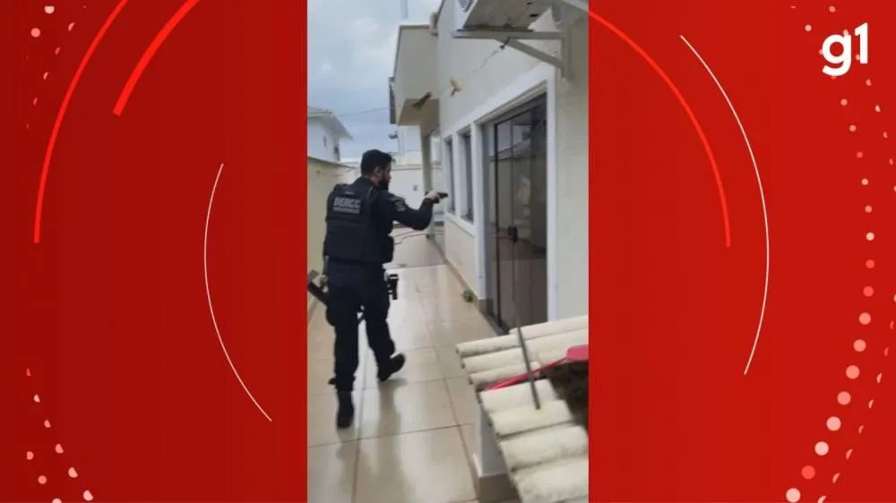 Reprodução/Especial