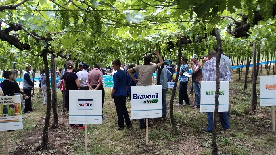 Tecnovitis movimenta mais de R$ 4 milhões e recebe mais de 12 mil pessoas