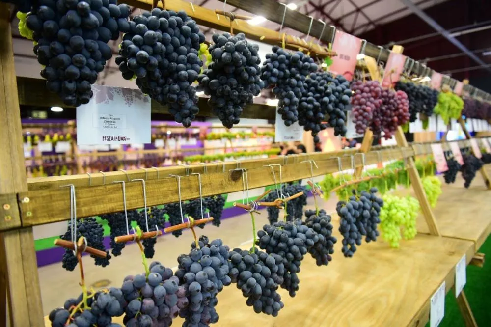 Reprodução/Especial