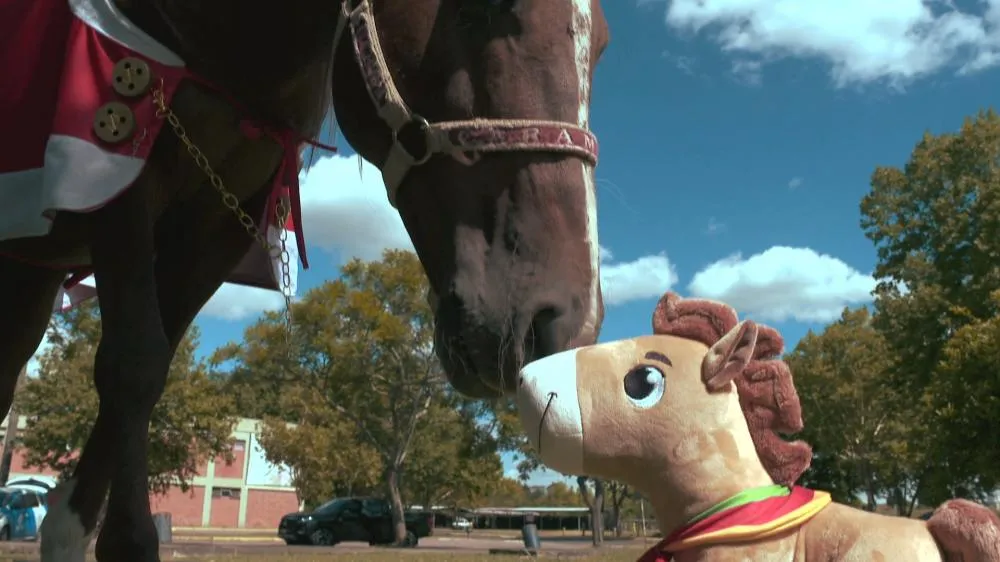 Reprodução/Especial