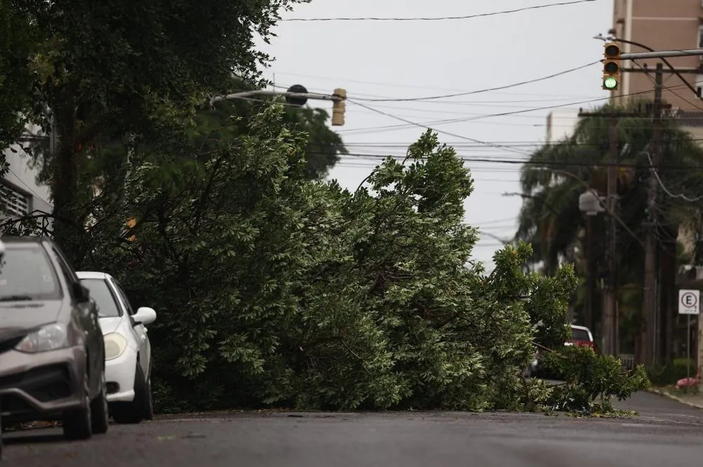 Reprodução/Especial