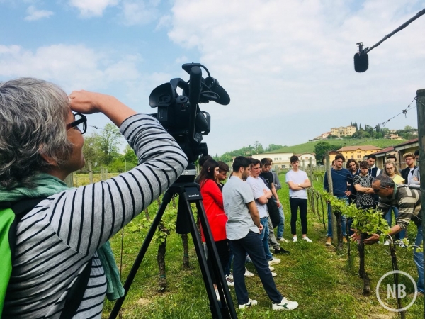 Elton Menezes/Divulgação