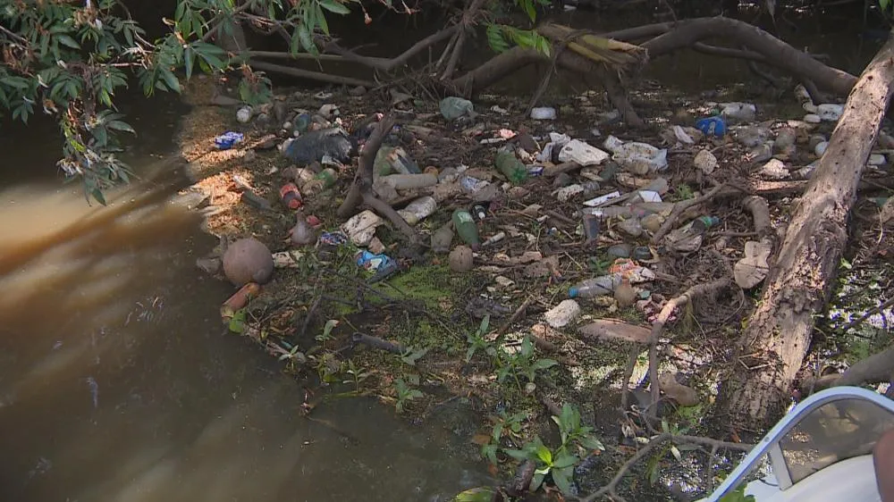 Reprodução/Especial