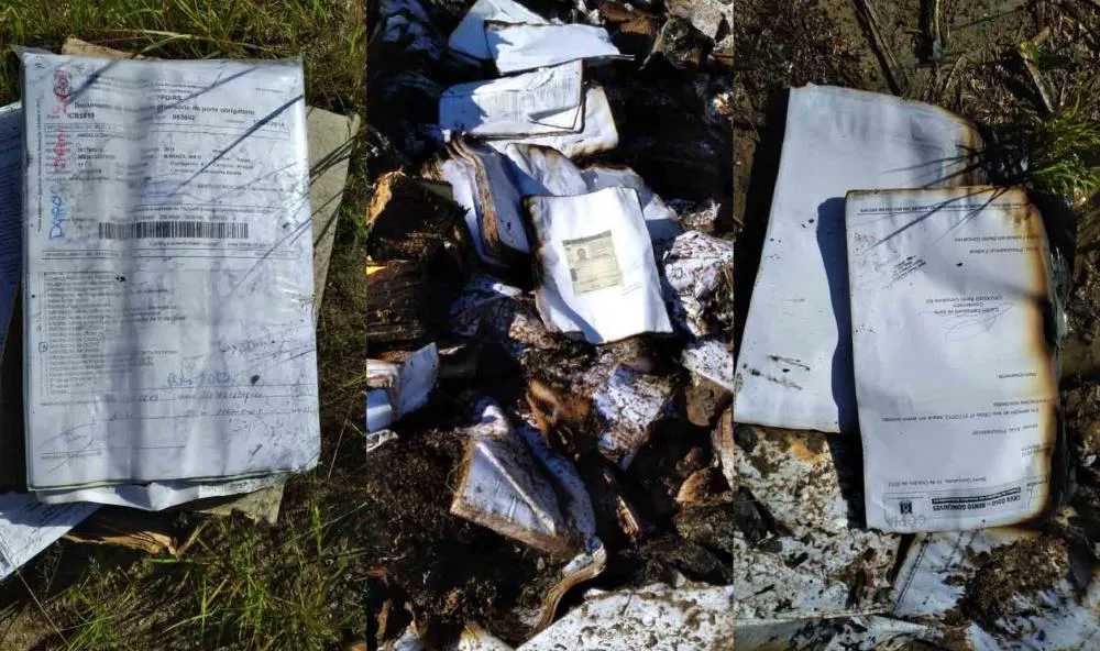 Muitos documentos queimados ainda são passíveis de identificação no local - Fotos: NB Notícias/Especial