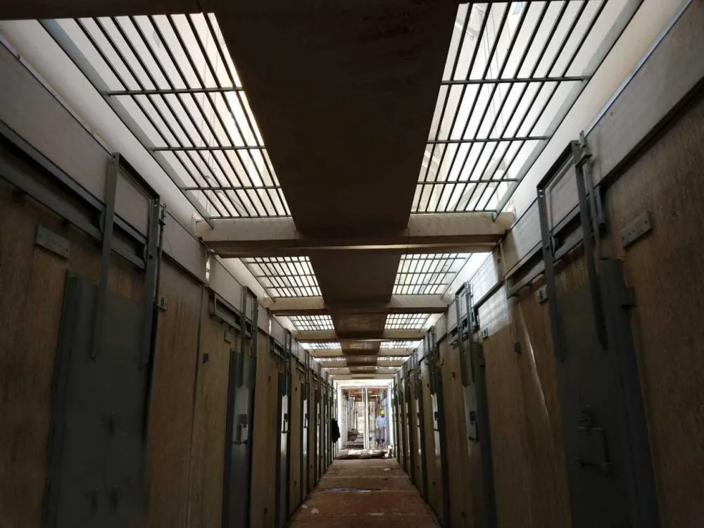 Reprodução/Especial