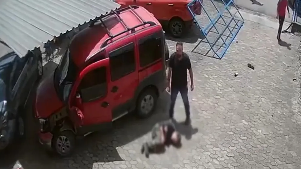 Reprodução/Especial