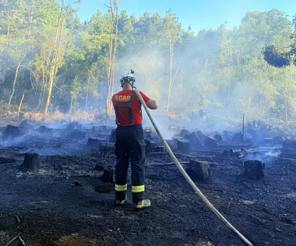Reprodução/Especial