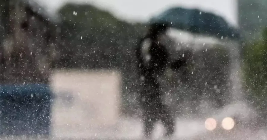 Reprodução/Especial