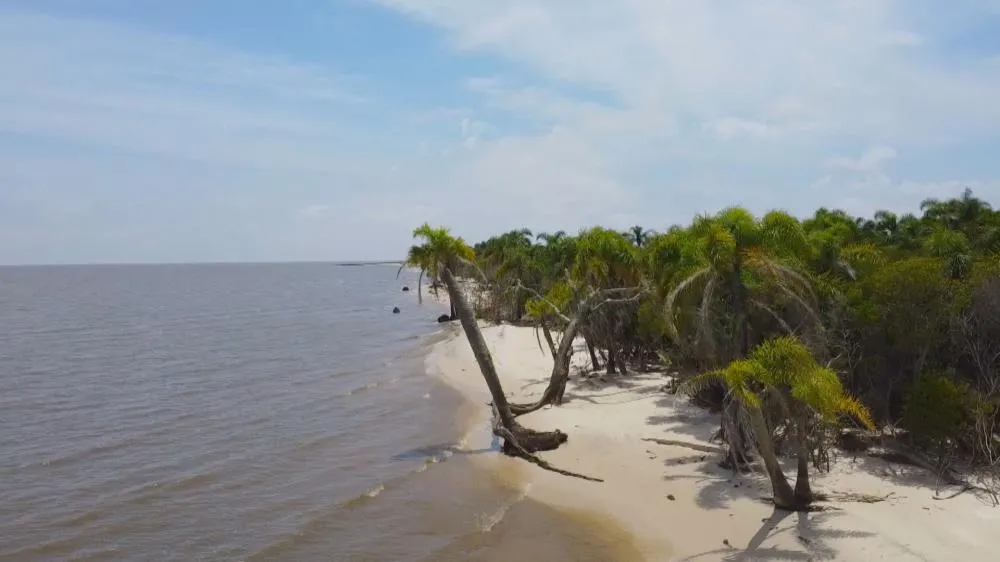 Reprodução/Especial