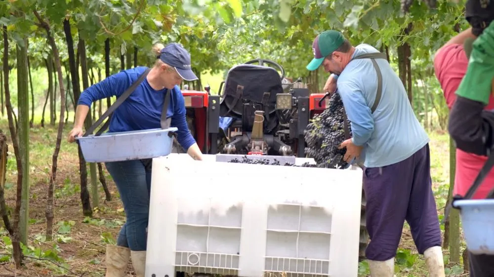 Reprodução/Especial