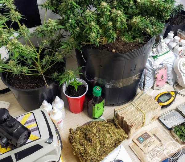 Polícia Civil/Divulgação