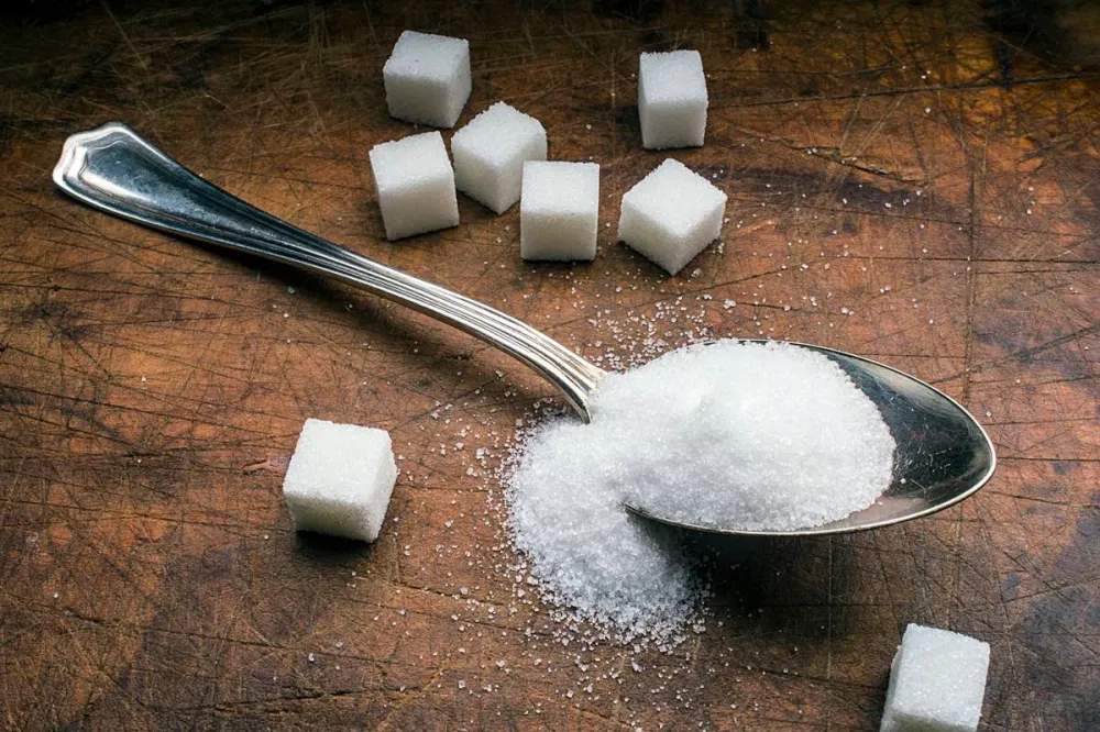 Reprodução/Especial