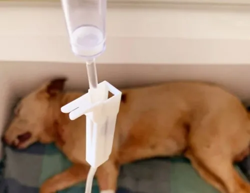 IMAGEM MERAMENTE ILUSTRATIVA