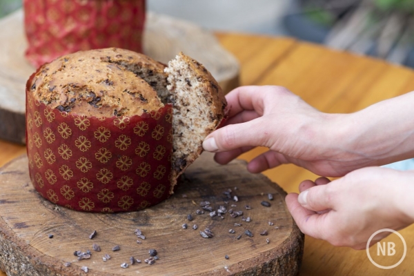 Fernando Zequinão/Divulgação