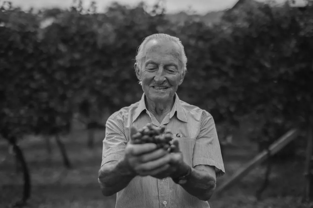 Até os últimos dias de sua vida, Nonno Cilo continuou cultivando seus parreirais - Foto: Arquivo Pessoal/Especial NB