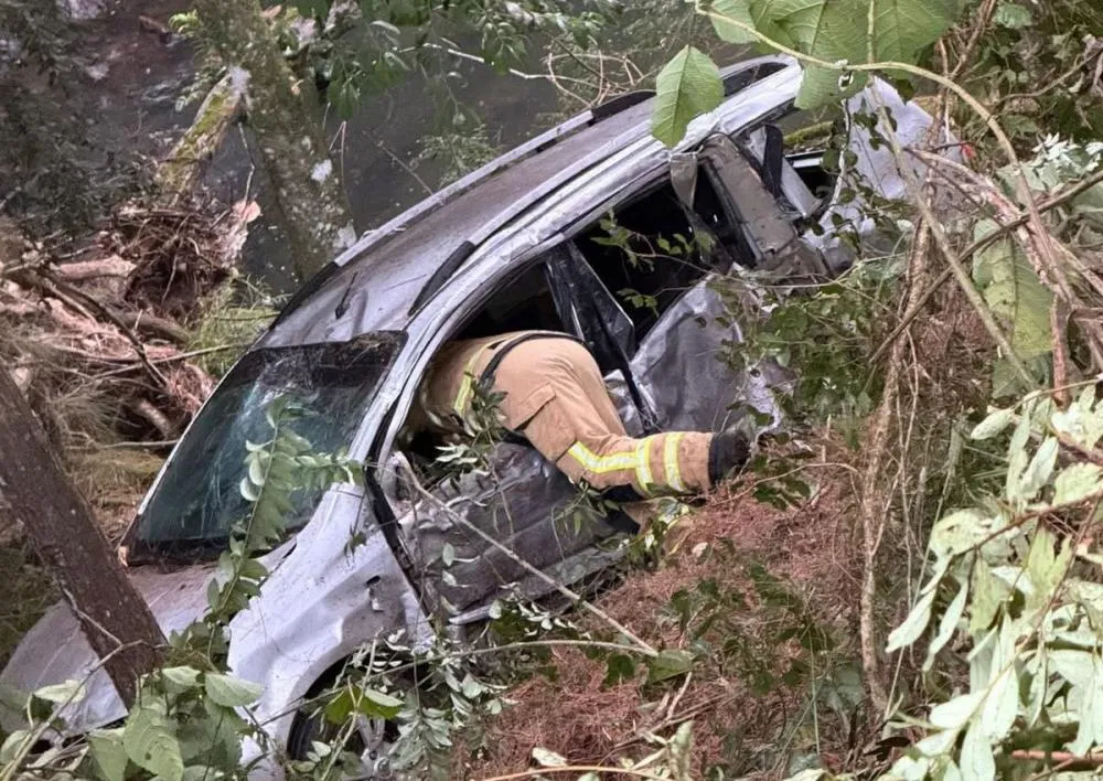 Apesar da gravidade do acidente, motorista sofreu apenas alguns arranhões - Foto: Corpo de Bombeiros de Bento Gonçalves/Especial NB
