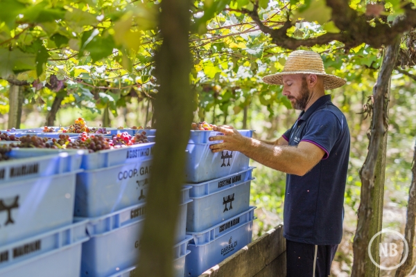 Augusto Tomasi/Vagão Filmes/Divulgação
