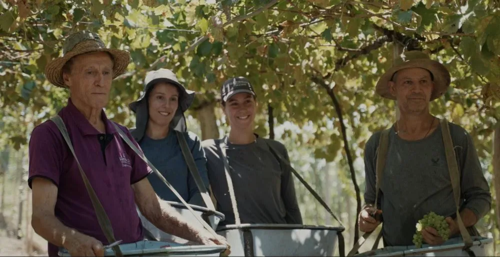 Família de agricultores representa o sucesso da Cooperativa Garibaldi - Foto: Reprodução
