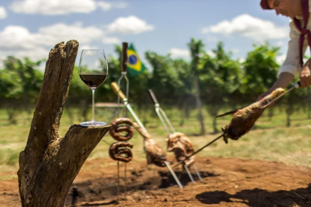  Atualmente, a Campanha Gaúcha abriga cerca de 1,56 mil hectares de vinhedos, concentrando quase um terço da produção de vinhos finos de todo o país. (Foto: Reprodução)