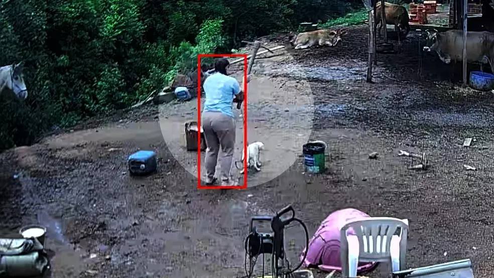 Foto: Reprodução