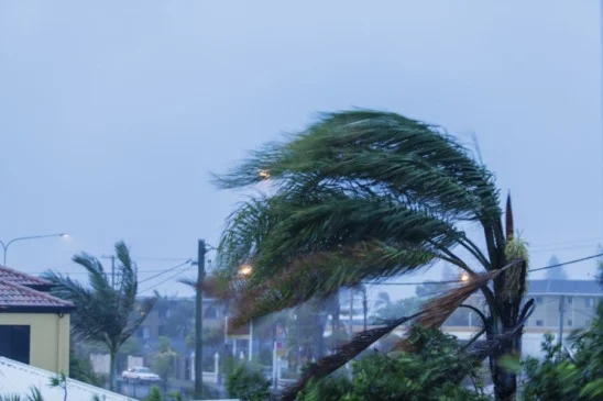 Vendavais de 90 km/h antecipam o Dia das Mães frio na Serra