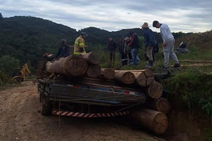 Socorristas encontraram uma das vítimas já sem vida e outra com uma das pernas presas sob a madeira. (Foto: Corpo de Bombeiros Militar de Soledade / Divulgação)
