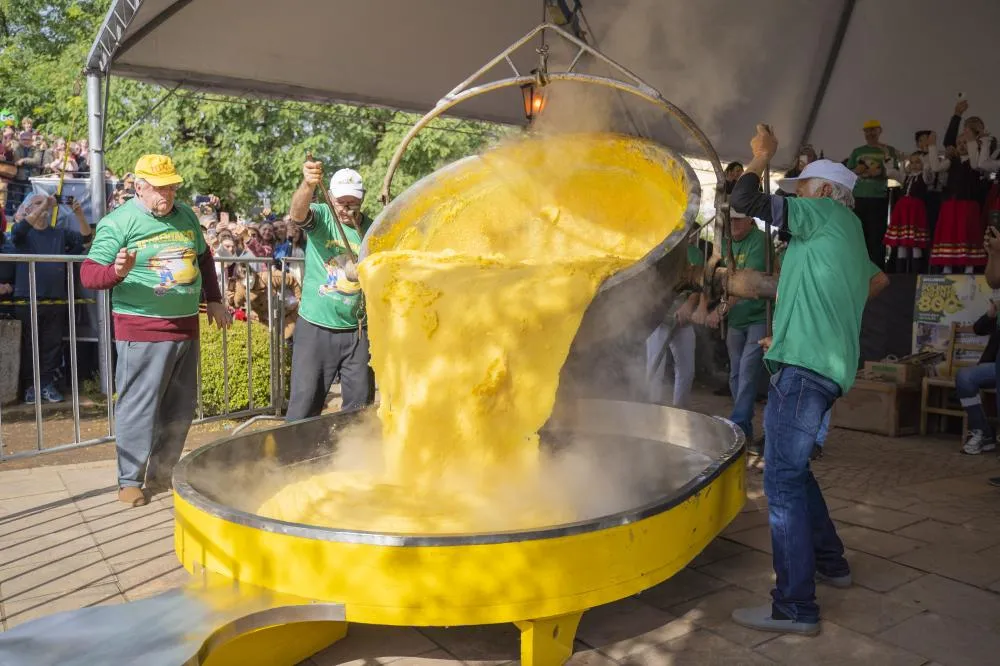 Tradicional tombo da polenta acontece no sábado, 16, e no domingo, 17 - Foto: Augusto Tomasi