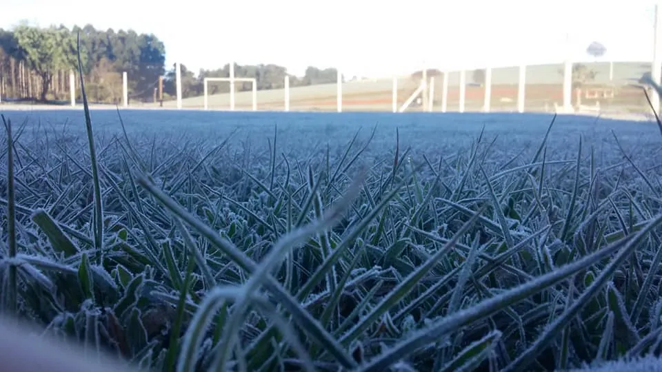Geada e frio rigoroso: Região da Uva e Vinho terá mínimas próximas de 0°C nesta terça