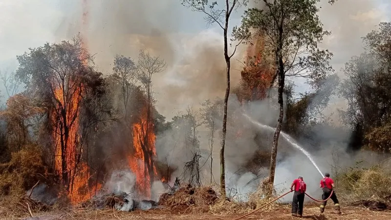O relatório destaca que a crise climática não apenas prolonga as temporadas de fogo, mas também permite que as chamas alcancem ecossistemas que antes eram considerados úmidos demais. (Foto: Bombeiros RS)