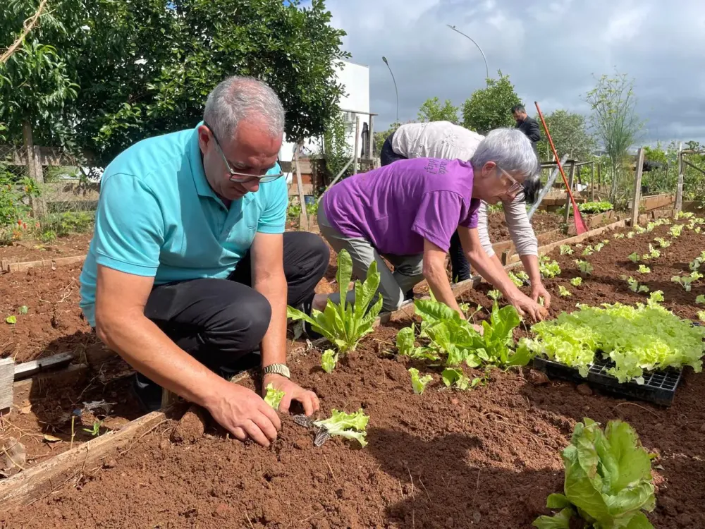 Horta Comunitária do bairro Ouro Verde ganha prêmio nacional
