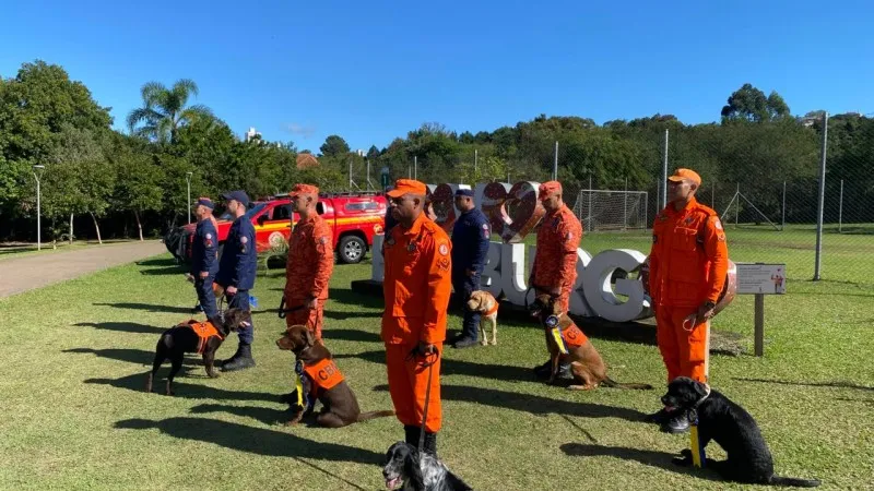 RS conquista o 3º lugar no ranking nacional de cães de busca e resgate
