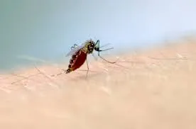 Segundo o prontuário epidemiológico, o paciente apresentava comorbidades prévias que agravaram o quadro clínico e faleceu no dia 7 de abril. (Foto: Reprodução)
