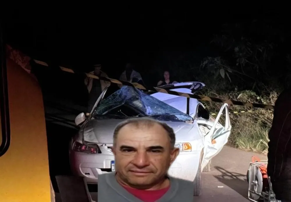 Homem morre em rodovia após árvore cair sobre seu carro