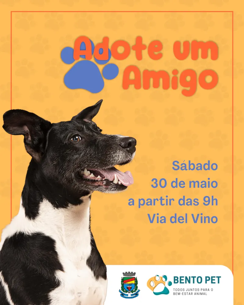 Imagem: Divulgação