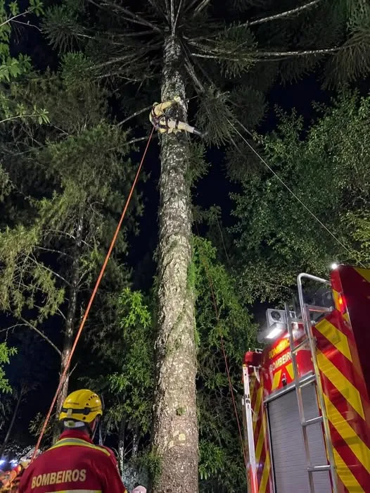 Devido ao risco iminente de queda e à dificuldade de visibilidade provocada pelo horário, os bombeiros precisaram montar uma estrutura técnica de segurança para alcançar o rapaz. (Foto: Reprodução)